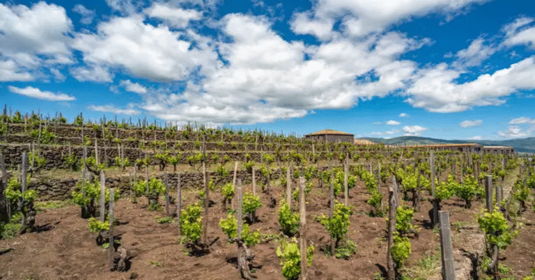 Mongibello Etna