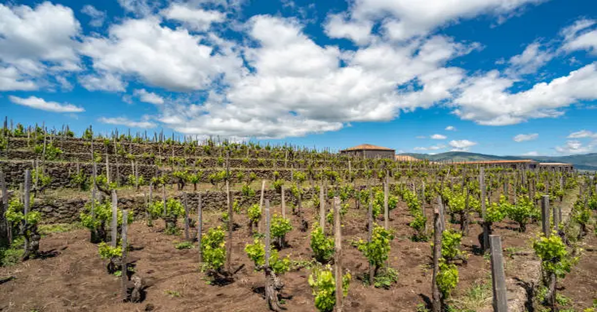 Mongibello Etna
