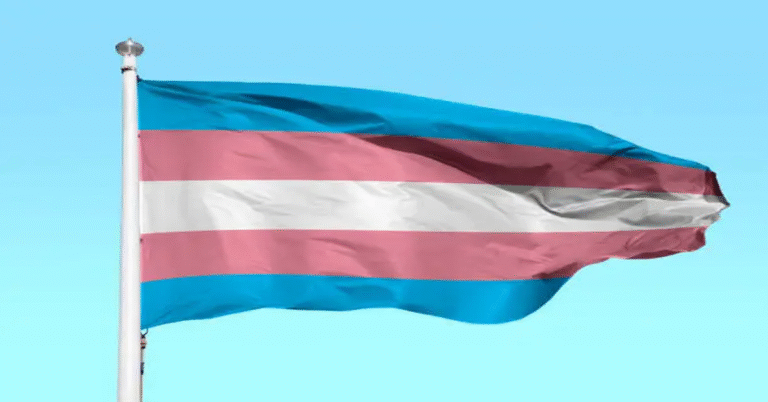 Trans Flag