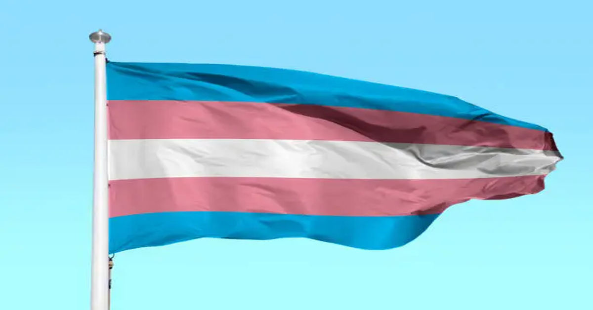 Trans Flag