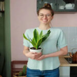 Benefits of Snake Plant